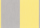 buttercream/silver buttercream/silver
